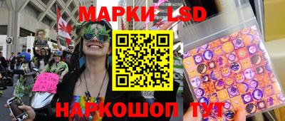 Альфа ПВП Обнинск