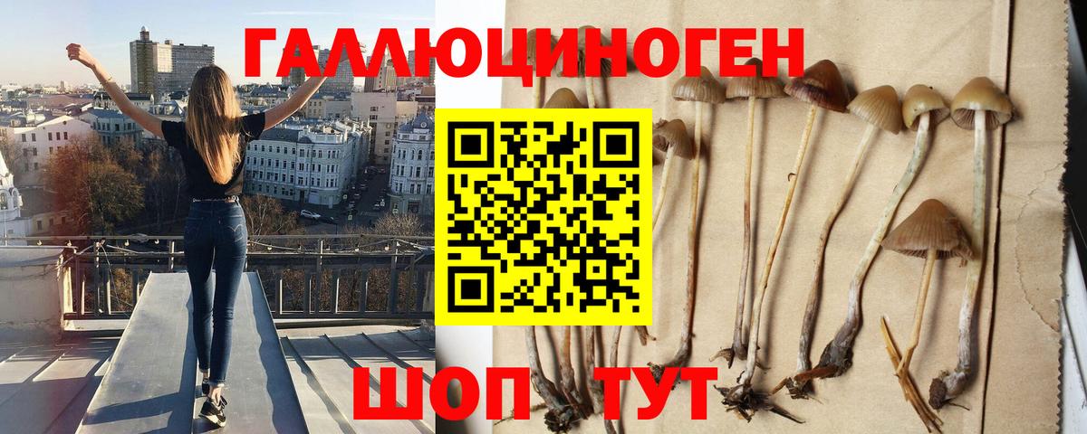 Псилоцибиновые грибы Magic Shrooms Рославль