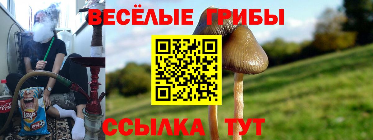 Галлюциногенные грибы мухоморы  Вход с VPN  Рославль  Галлюциногенные грибы ЛСД 
