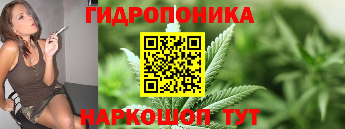 Конопля индика Рославль